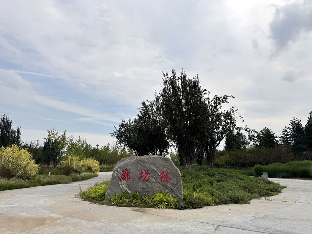 支持雄安新区绿化建设